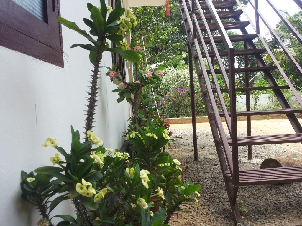 Athens Cottage Муннар Екстер'єр фото