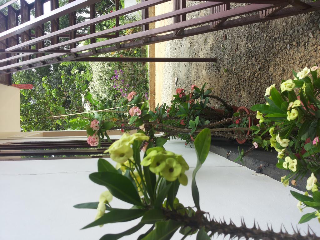 Athens Cottage Муннар Екстер'єр фото
